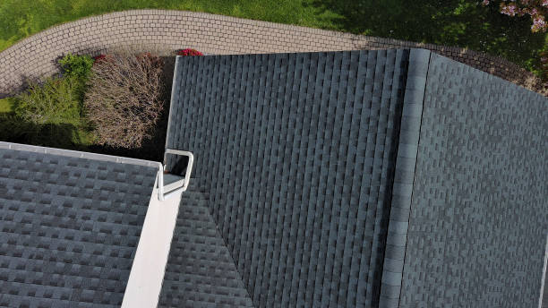 Best Roof Repair  in Pioche, NV