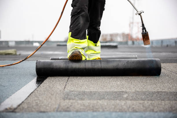 Best Roof Installation  in Pioche, NV
